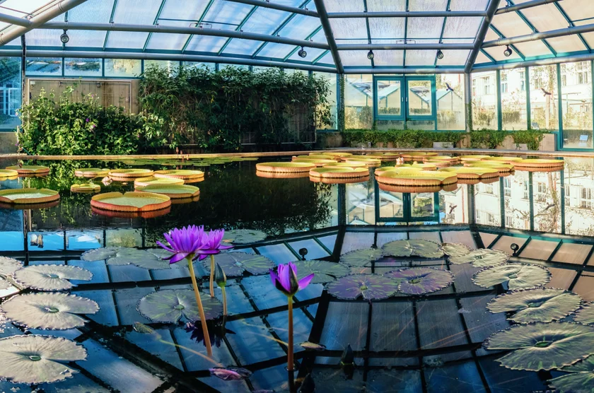 Liberec Botanical Garden, Czech Republic. Shutterstock by Maria Shakhmatova