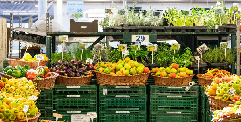 Holešovice Market