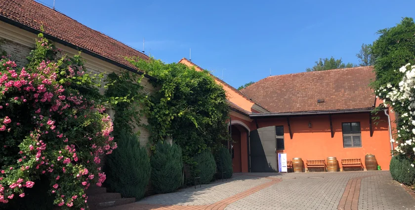 Lobkowicz winery