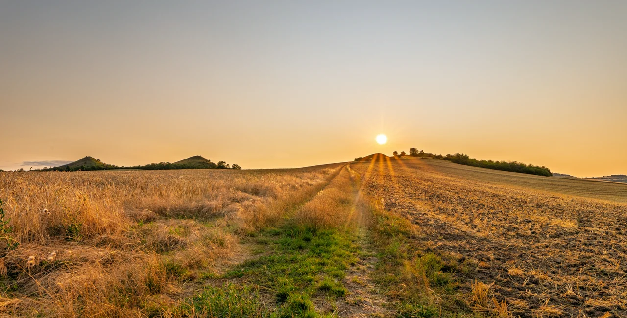 Late summer field in Bohemia. Photo: Shutterstock / PhotographerLukyno
