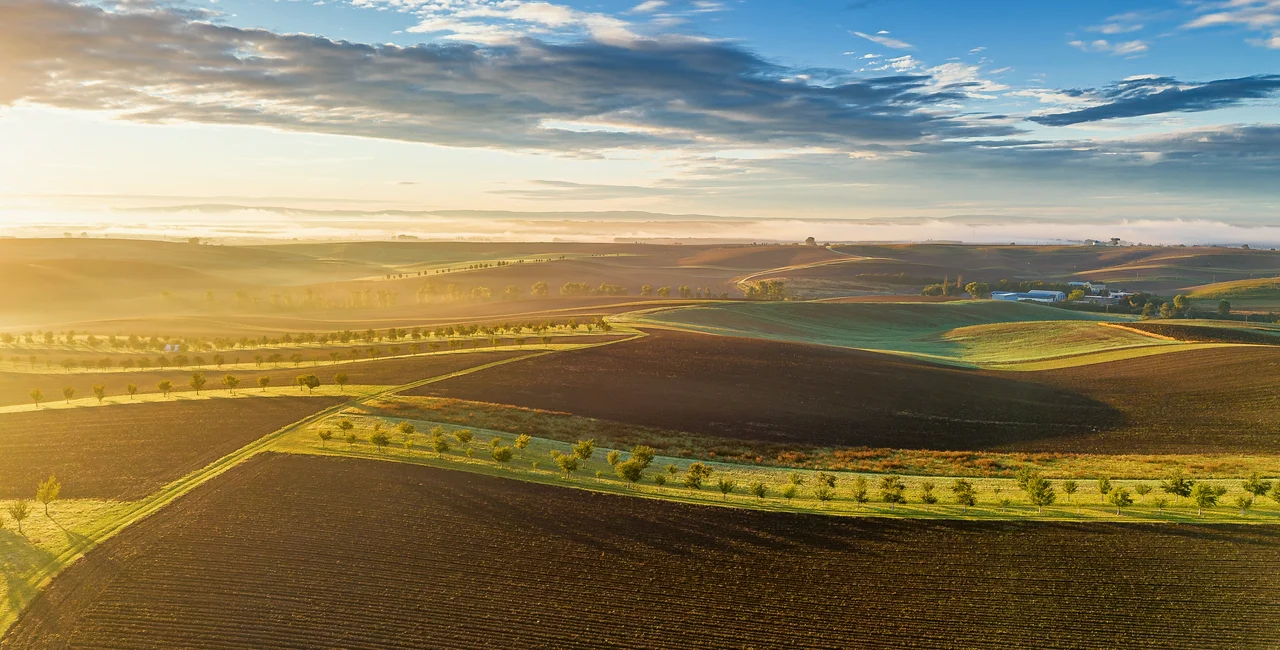 Late summer landscape in South Moravia. Photo: Shutterstock / Rudolf_Prchlik
