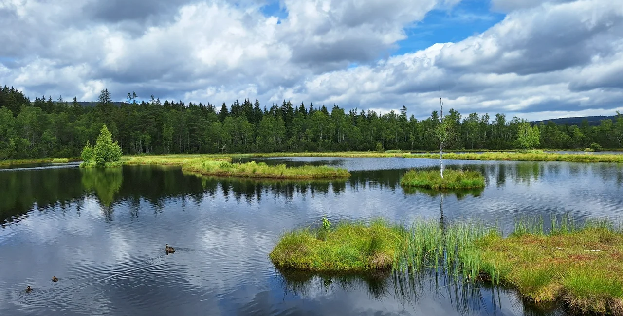 Šumava, Czech Republic. Photo:
