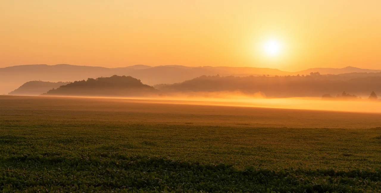 Sunrise in Moravia. Photo: Shutterstock / PhotographerLukyno