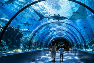 Brno to build one of Europe's largest aquariums, with 55-meter underwater tunnel