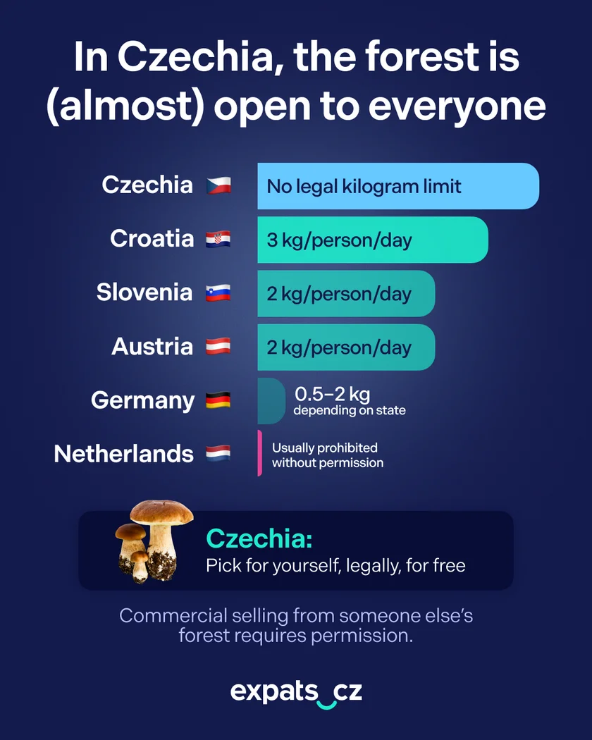 expats.cz