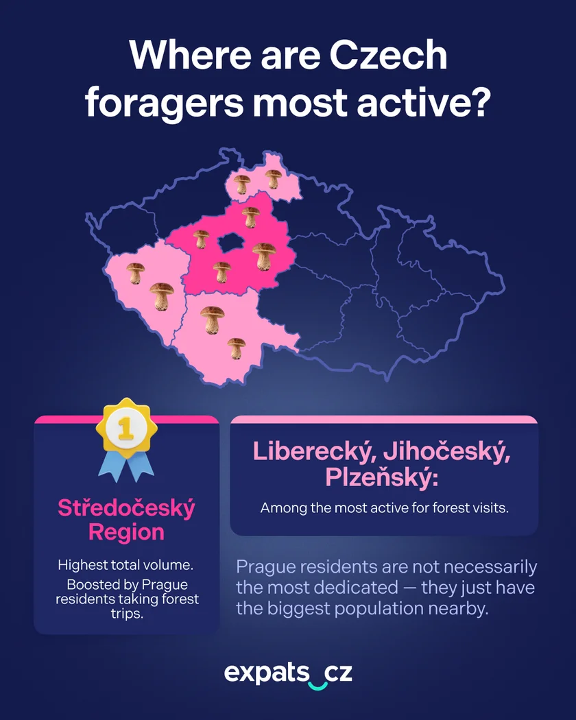 expats.cz