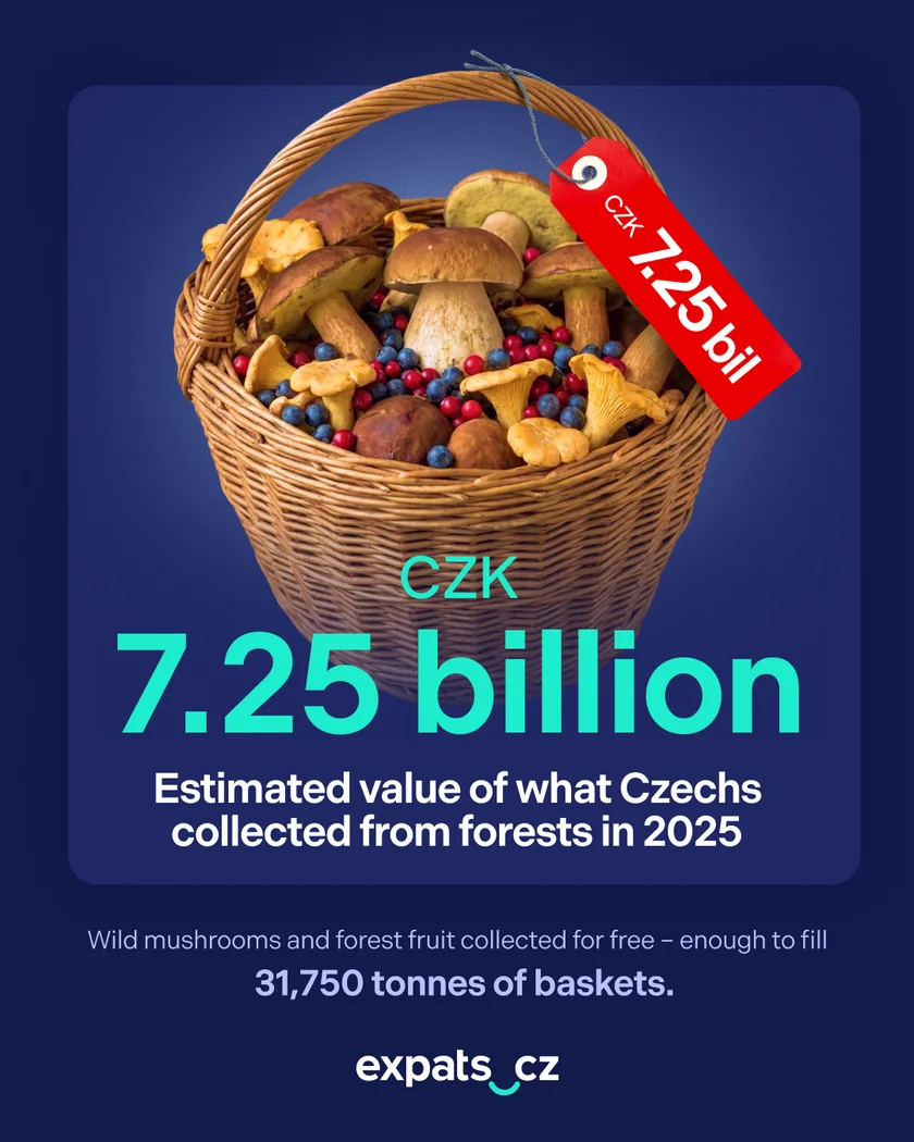 expats.cz
