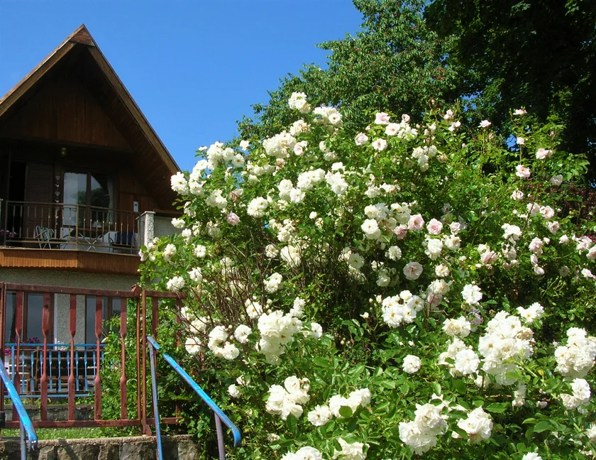 Pearl's home in Buková. Photo: Pearl Harris