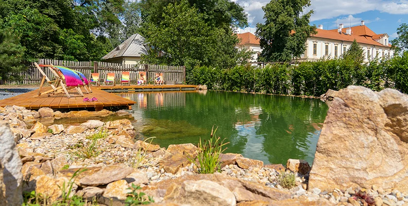 Biotope pond