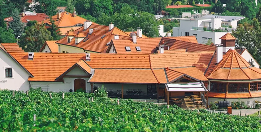 Salabka Winery