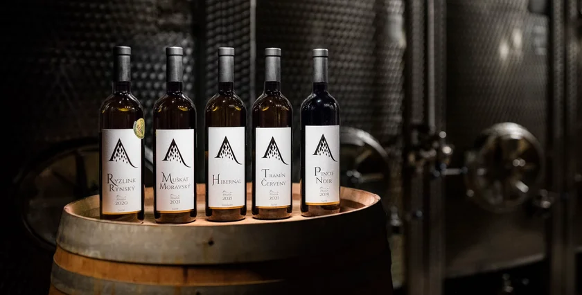 Salabka Winery