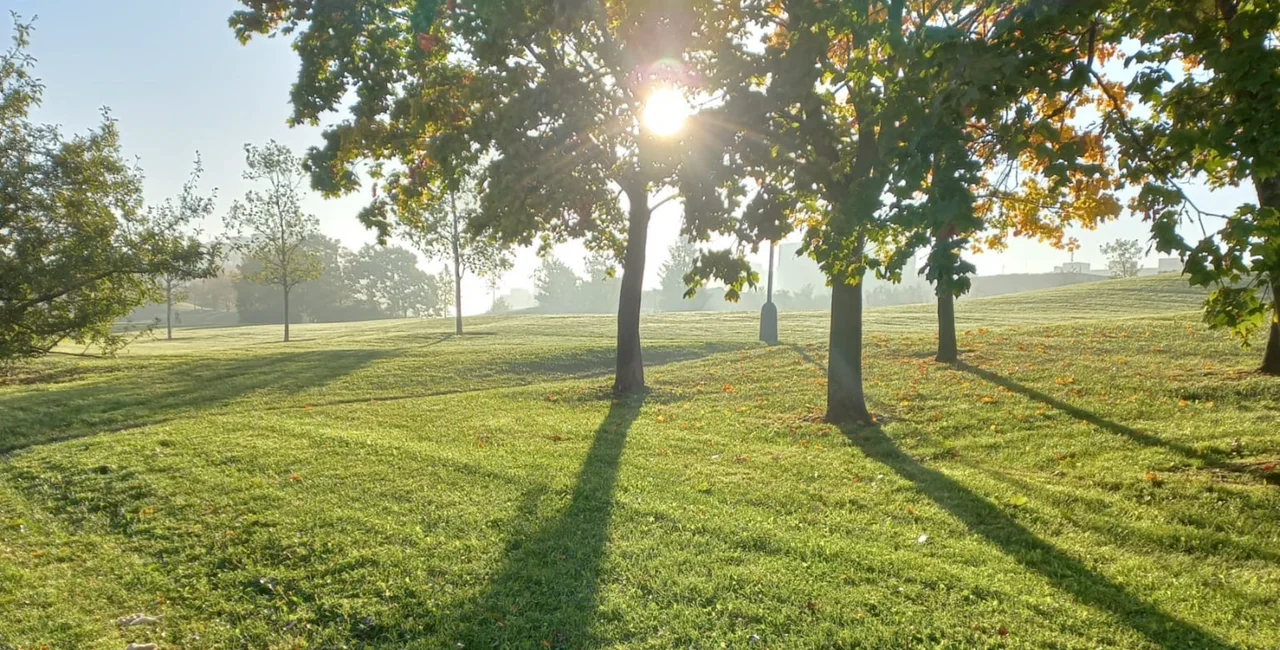 Sunrise in a Prague park. Photo: Shutterstock / petnov