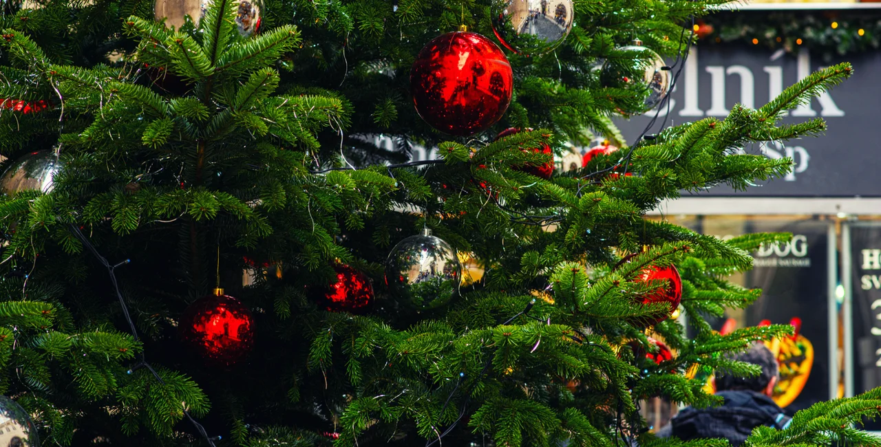 Christmas tree in Prague's Old Town Square. Photo: Shutterstock / ESstock