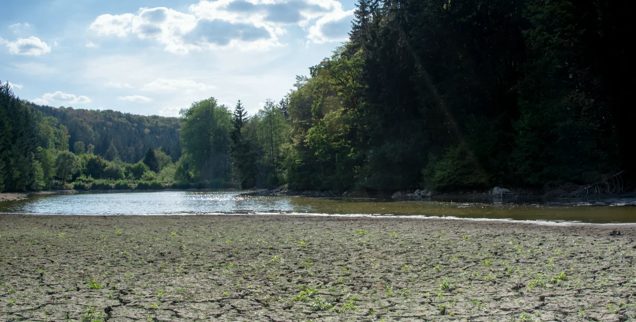 Dry lake in Ochoz, near Brno. Photo: Shutterstock / DanielaHrdova