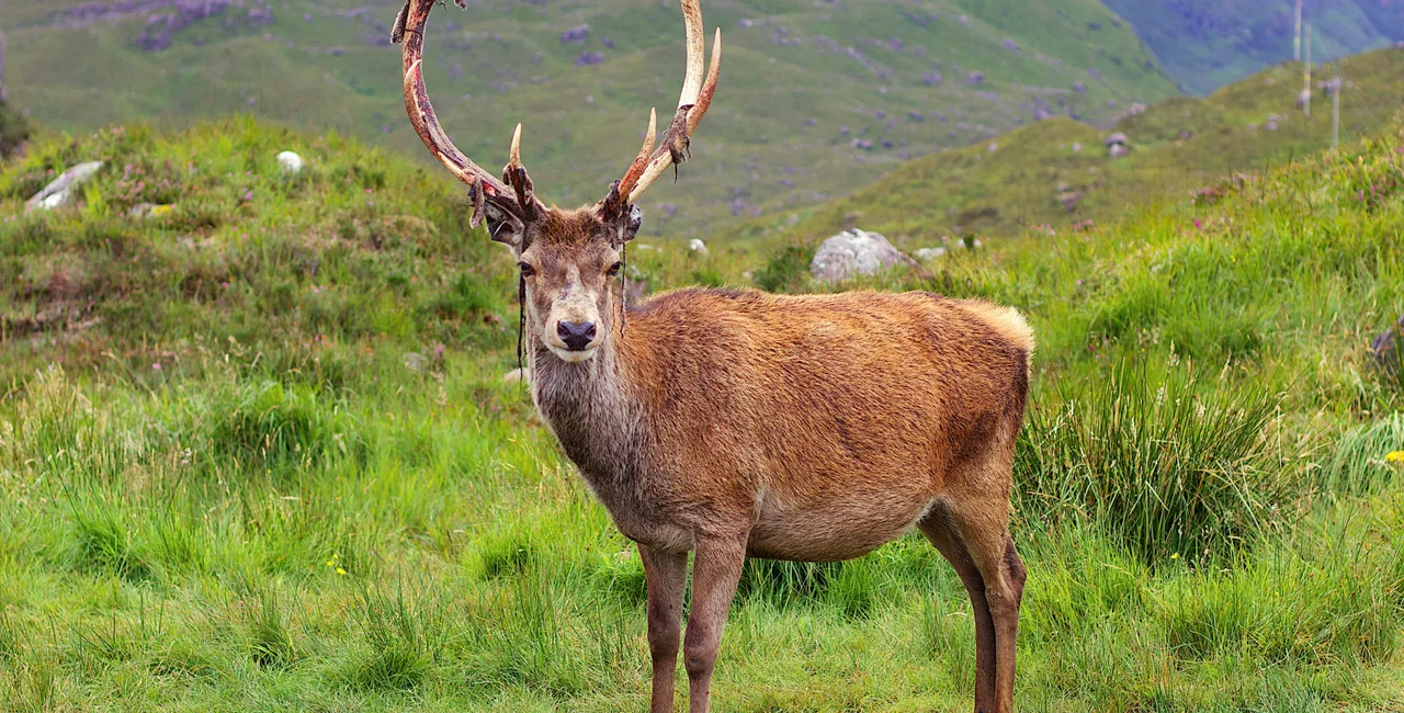 Illustrative photo: Shutterstock / Bradley Hollingdale