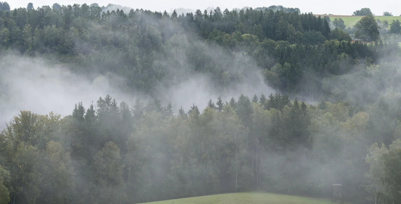 Shutterstock / Felix Geringswald