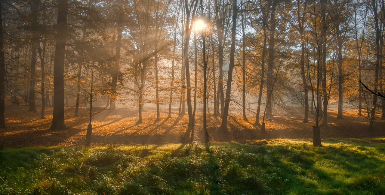 Shutterstock / jansk