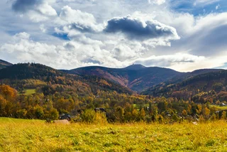 Czech autumn landscape. Photo: Shutterstock / KellySHUTSTOC