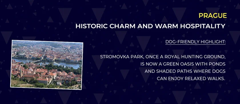 Infographic: Accor