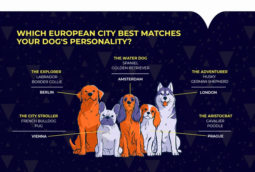 Infographic: Accor