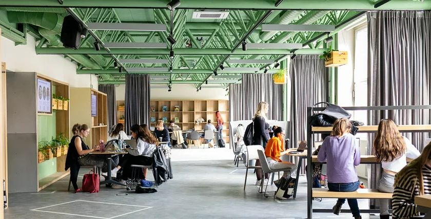 VŠE Students in Our Coworking Space