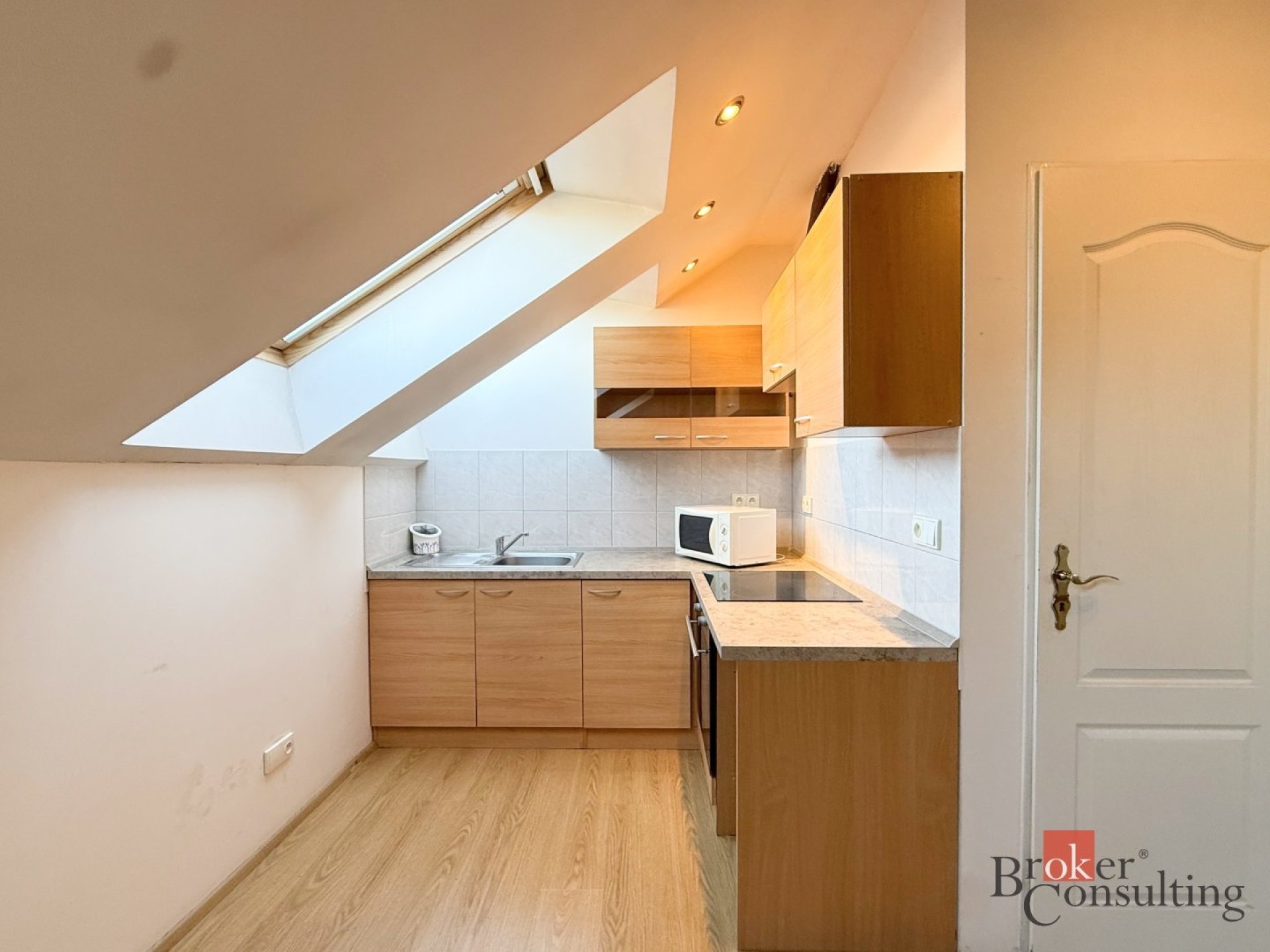 Apartment for rent, 1+KK - Studio, 42m2, in Plzeň, on Husova street