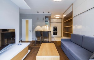 Apartment for rent, 1+KK - Studio, 49m<sup>2</sup>