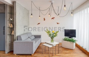 Apartment for rent, 2+kk - 1 bedroom, 53m<sup>2</sup>