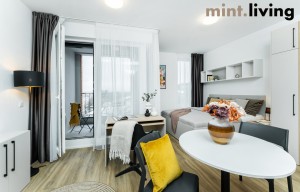 Apartment for rent, 1+KK - Studio, 36m<sup>2</sup>