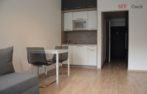 Apartment for rent, 1+KK - Studio, 28m<sup>2</sup>