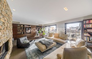 Apartment for rent, 3+kk - 2 bedrooms, 225m<sup>2</sup>
