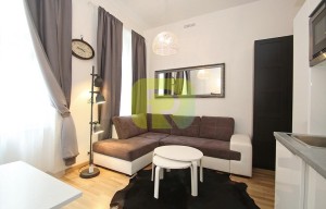 Apartment for rent, 1+KK - Studio, 25m<sup>2</sup>