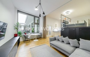 Apartment for rent, 1+KK - Studio, 55m<sup>2</sup>