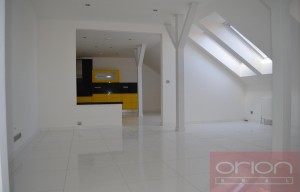 Apartment for rent, 5+kk - 4 bedrooms, 256m<sup>2</sup>