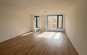 Apartment for rent, 1+KK - Studio, 54m<sup>2</sup>