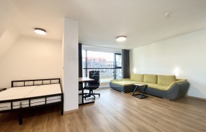 Apartment for rent, 1+KK - Studio, 48m<sup>2</sup>