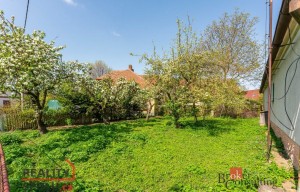 Garden for sale, 227m<sup>2</sup>