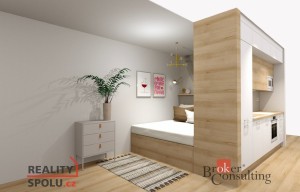 Apartment for rent, 1+KK - Studio, 40m<sup>2</sup>