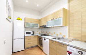 Apartment for rent, 3+kk - 2 bedrooms, 96m<sup>2</sup>