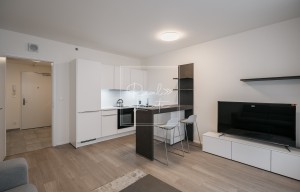 Apartment for rent, 1+KK - Studio, 29m<sup>2</sup>