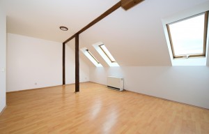 Apartment for rent, 1+KK - Studio, 45m<sup>2</sup>