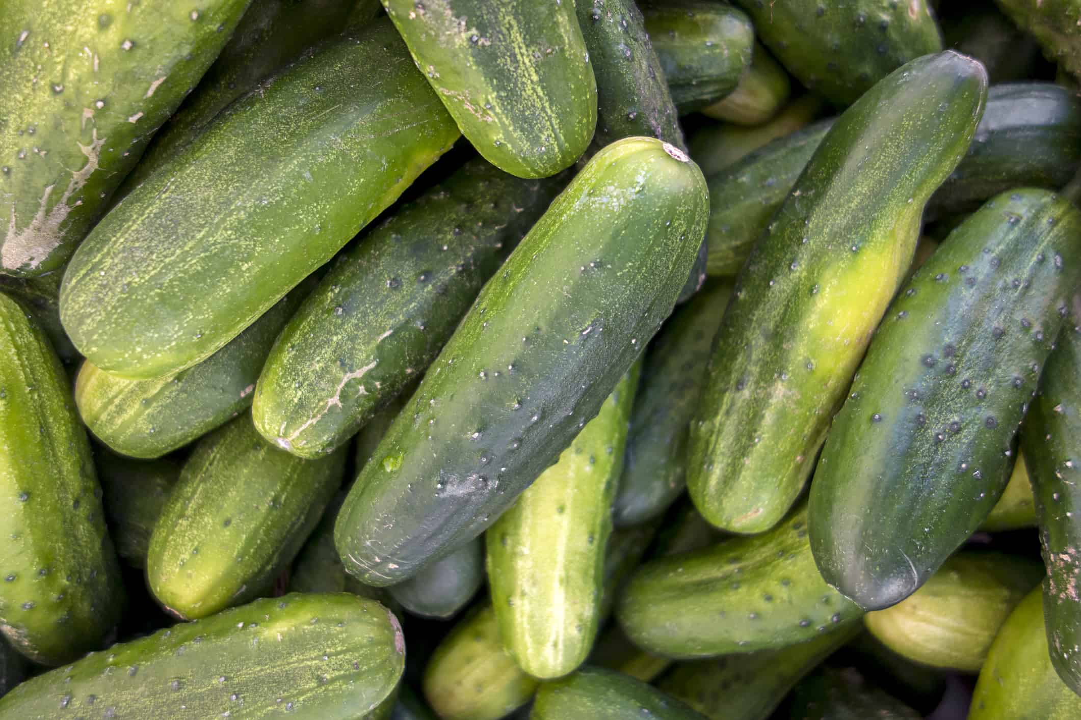 Cucumbers in farmer’s market