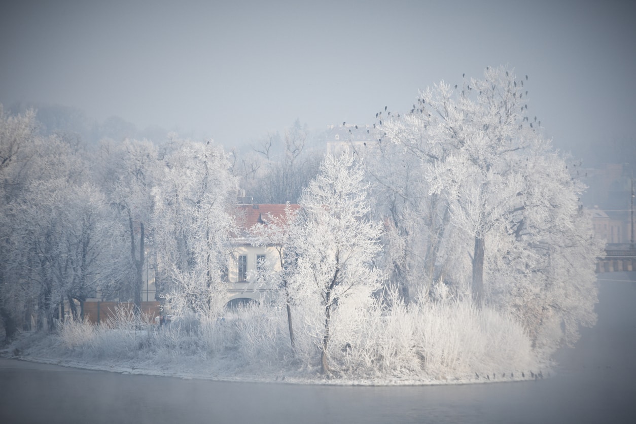 That's not a picture of fairy-tale wilderness: it's a snow-covered Střelecký ostrov (Island), right in the center of Prague 1.