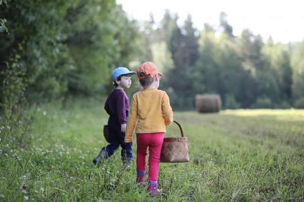 Children gathered in a hike in the nearest forest in search of mushrooms