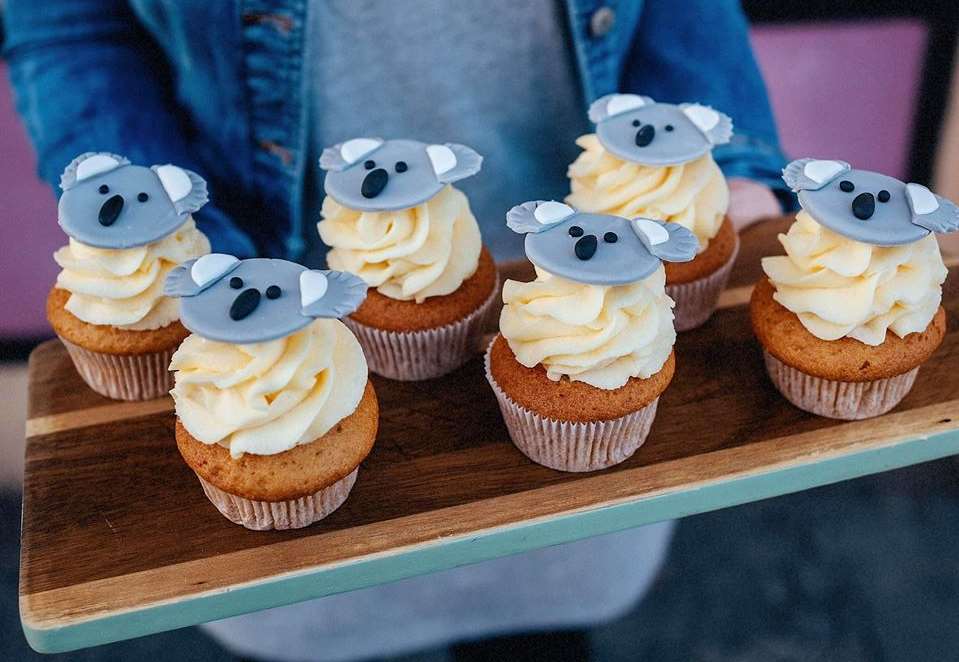 koala cupcakes