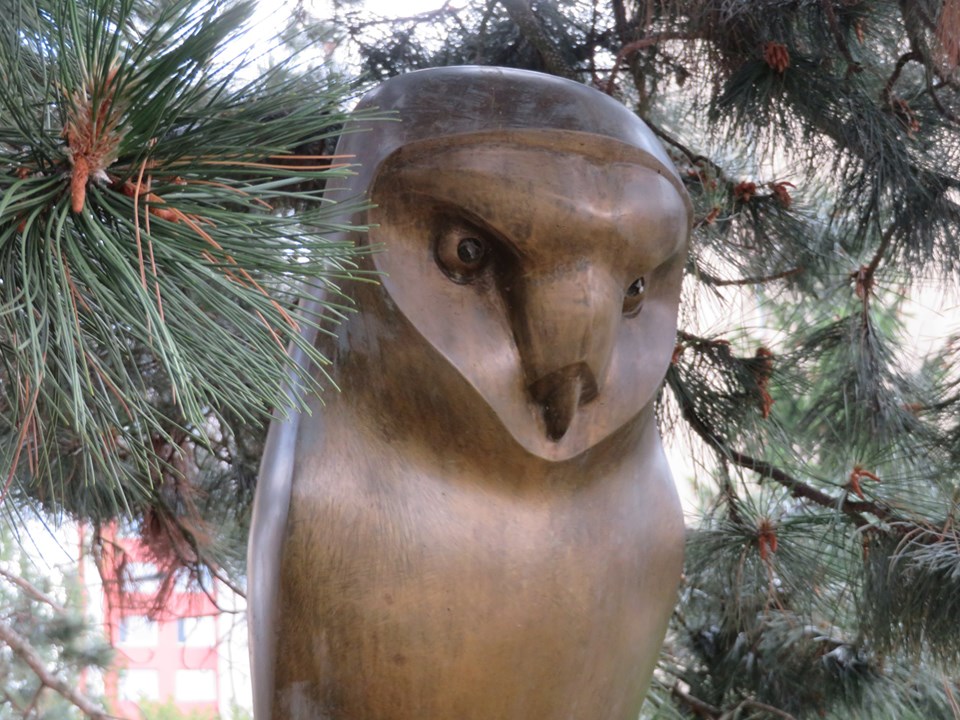 Owl by Václav Frydecký