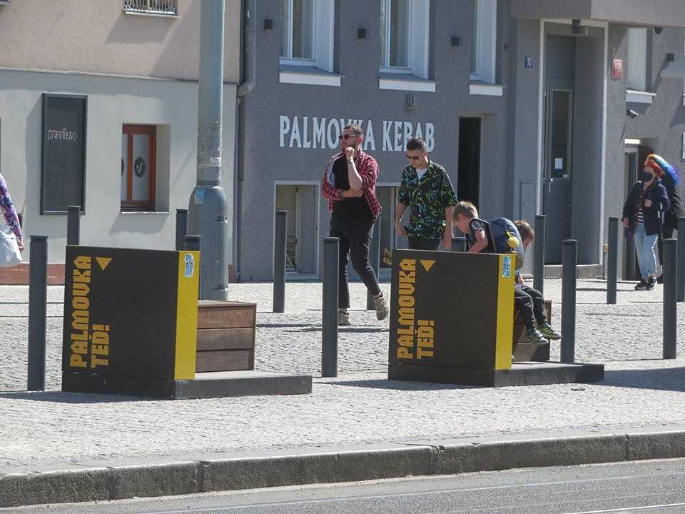 palmovka ted benches