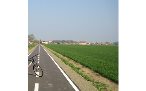 cycle-lane.jpg